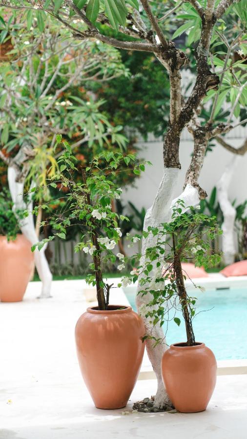 Villa Diola 3 Canggu  Exterior photo